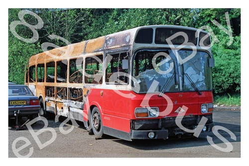 Bus photograph midland - photograph, red