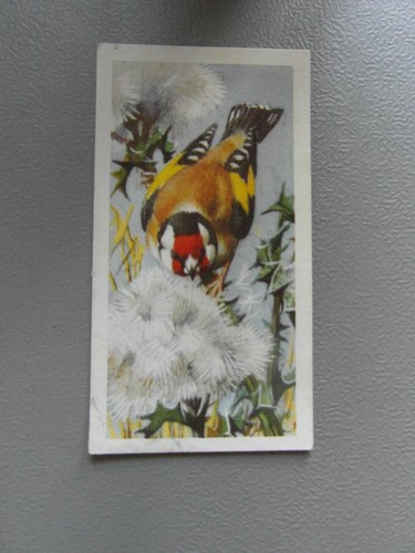 Brooke bond original 1957 - bond,