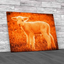 A White Suffolk Lamb Sheep Orange Canvas Print Large Picture Wall Art