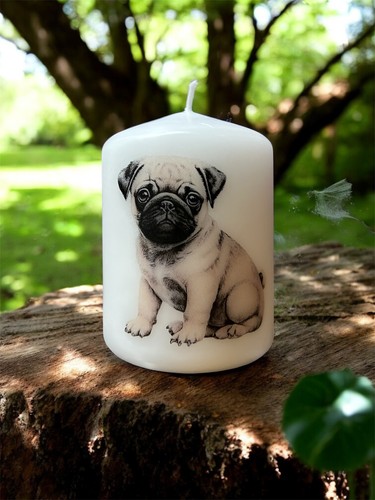 Pug puppy dog - candle, x
