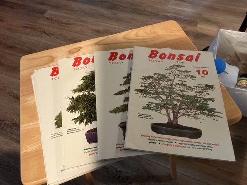 Bonsai today magazine - bonsai, today,