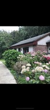 Holiday bungalow hayle - in,