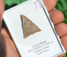 HIGH GRADE PREHISTORIC/