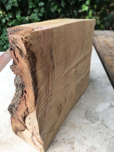English oak spalted - english, waney