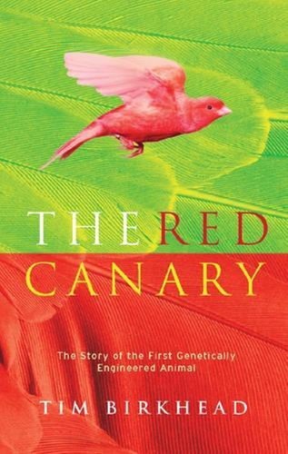 The red canary tim r - the,