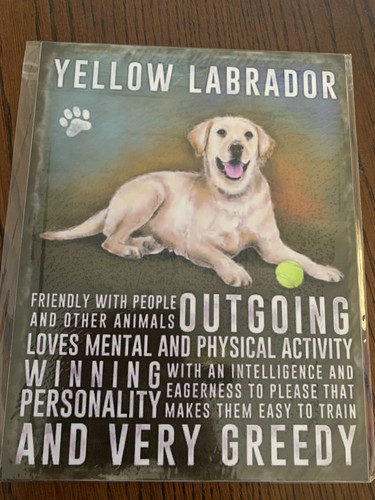 Yellow labrador 7 sign - labrador, 7.7"