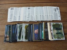 Panini Harry Potter & The