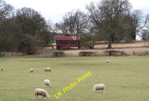 Photo 12x8 tin barn fearby - 12x8, barn,