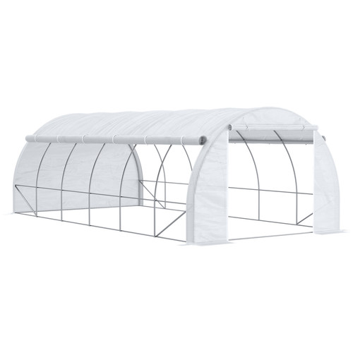 Polytunnel greenhouse walk - greenhouse, walk-in