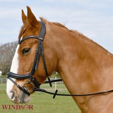 Leather Anatomical Flash