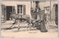 Donkey carriage undivided - donkey,