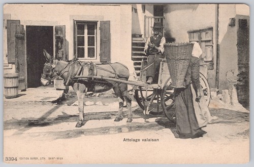 Donkey carriage undivided back - donkey,