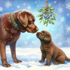 Single Luxury Chocolate Labrador Lab Christmas Card Dog Gift/Present XMP