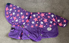 350g HORSE TURNOUT RUG WITH