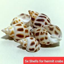 5x Spare empty shells