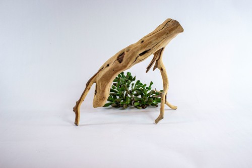Manzanita aquarium driftwood - manzanita,