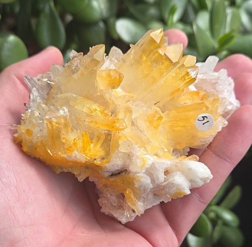 Colombian lithium nirvana - lithium,