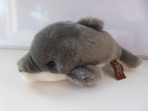 Ravensden rushden dolphin - rushden, soft