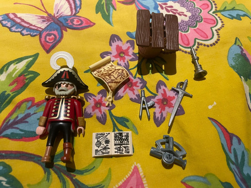 Playmobil 100 complete - 100%, set