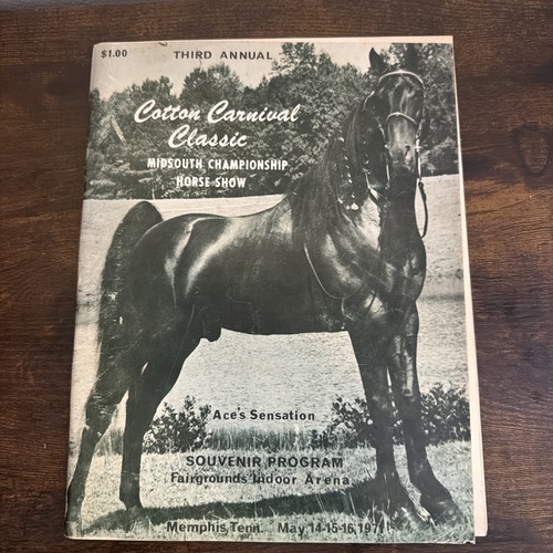 Tennessee walking horse - tennessee,