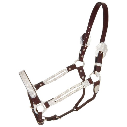 Bridle leather halter - bridle,