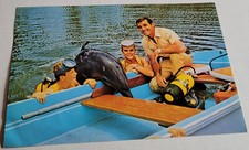 TV Dolphin / Series "PINBALL"