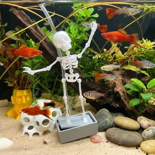 Plastic fish tank dance - plastic,