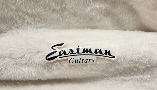 Eastman guitars sticker - eastman,