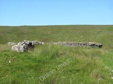 Photo 6x4 Sheep shelter, Dalphaid  c2011