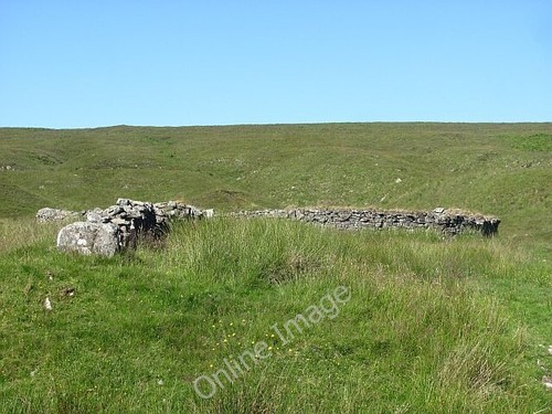 Photo 6x4 sheep shelter - photo,