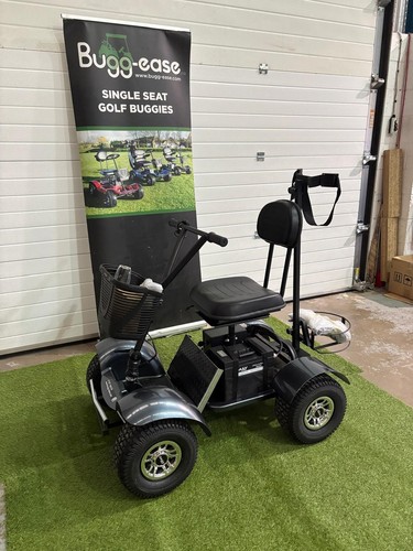 Demo golf buggy - -, flexes
