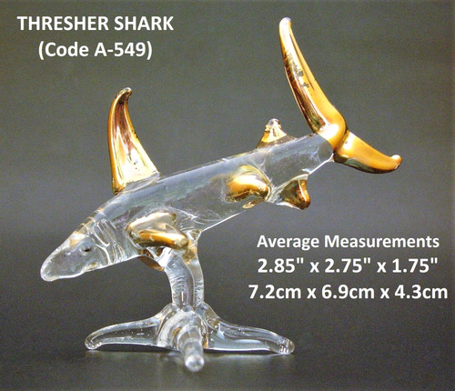 Glass shark beautiful - shark,