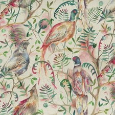 Voyage - Graystoke - Fig -