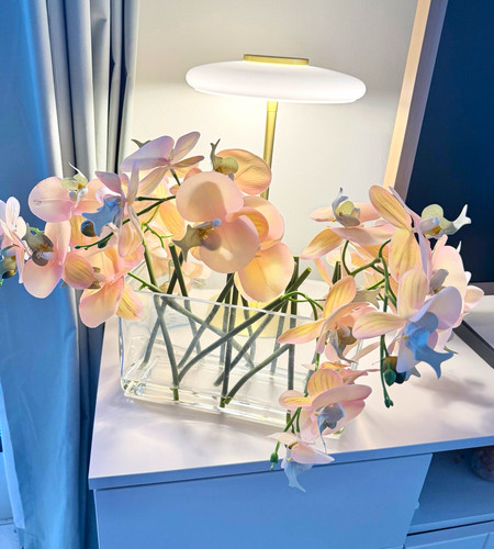 Orchid plant glass - plant, vase