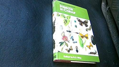 Insects colour blandford - colour, (blandford