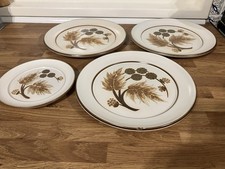 Vintage Denby Cotswold Dinner