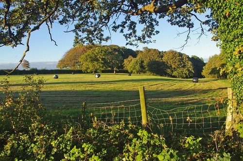 Photo 6x4 farmland - 6x4,