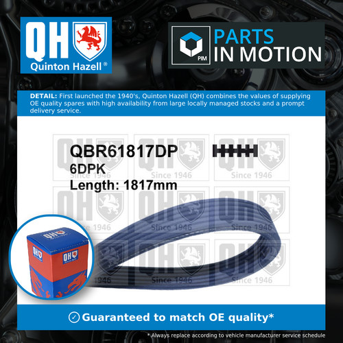 Rib multi drive belt fits - multi,