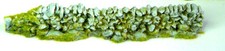 Javis PW2GREYDAM 1 x 134mm