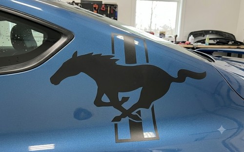 Ford mustang running - mustang,