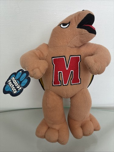 University maryland - university,