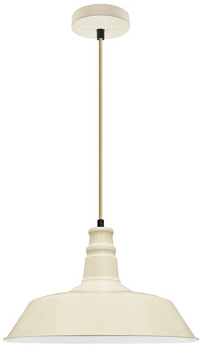 Modern vintage indoor ceiling - modern,