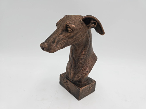 Greyhound bust - greyhound,
