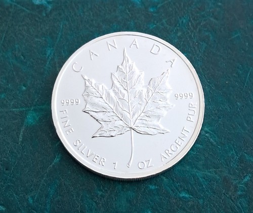 Canadian maple leaf 5 - maple,