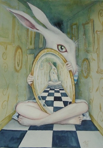 White rabbit through the - rabbit,