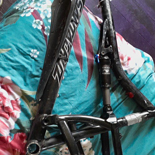 Iron horse carbon mountain - horse,