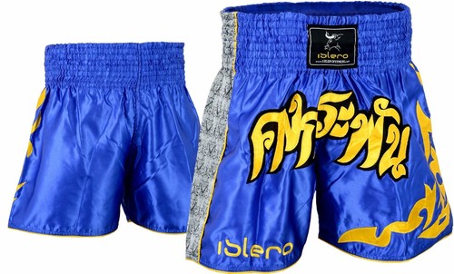 Evo muay thai fight - thai, mma
