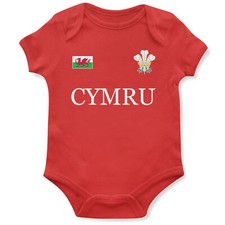 Cymru Badge Babygrow Feathers