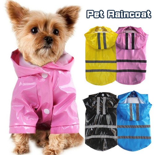Pet dog rain coat - coat, outdoor