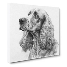 Cocker Spaniel Drawing Canvas